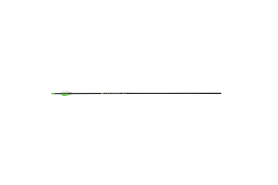 Victory Rip Ss Gamer Shafts 250 1 Doz. — New listing photo
