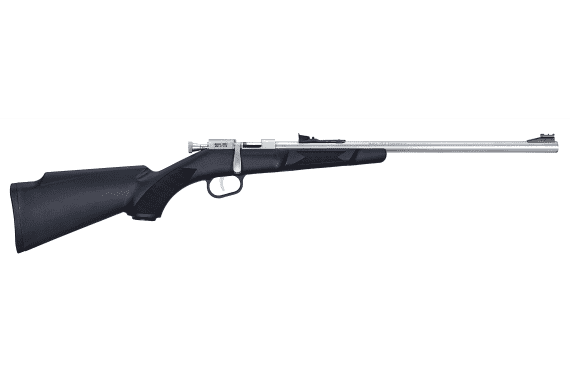 Henry Repeating Arms Mini Bolt 22lr Ss-syn — New listing photo
