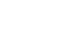 REAL AVID MAGNETIC BORE LIGHT