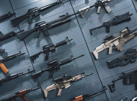 Beginners Guide to Choosing Your First Rifle