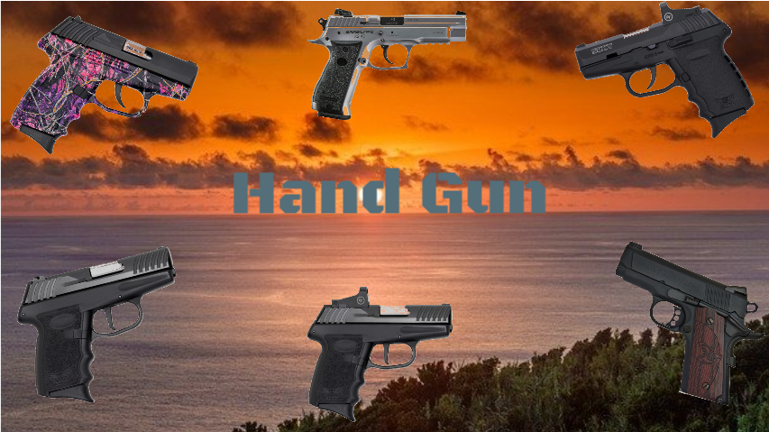 Hand gun