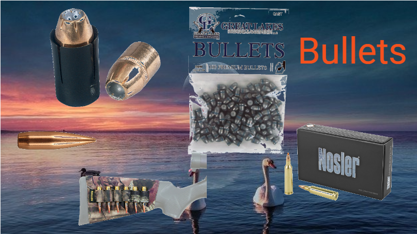 Bullets