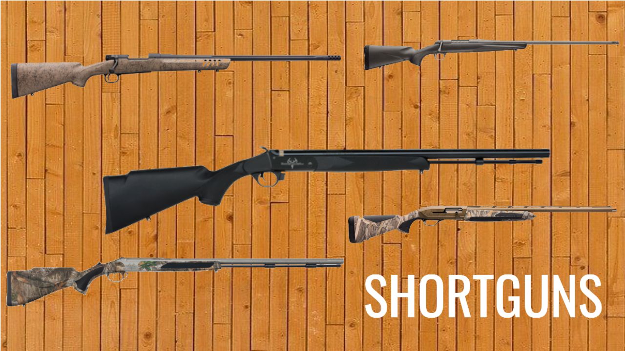 ShortGuns