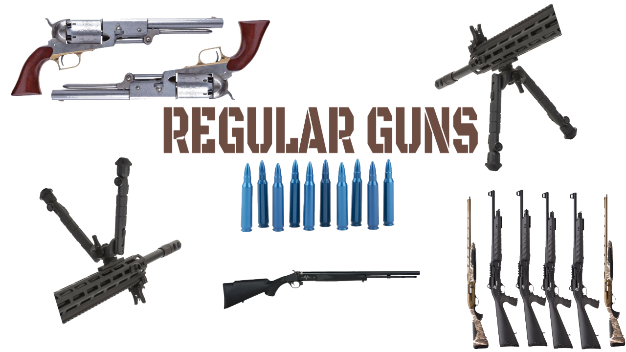 REGULAR GUNS