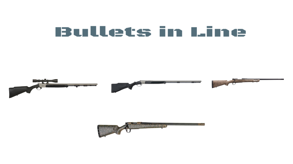 Bullets In Line