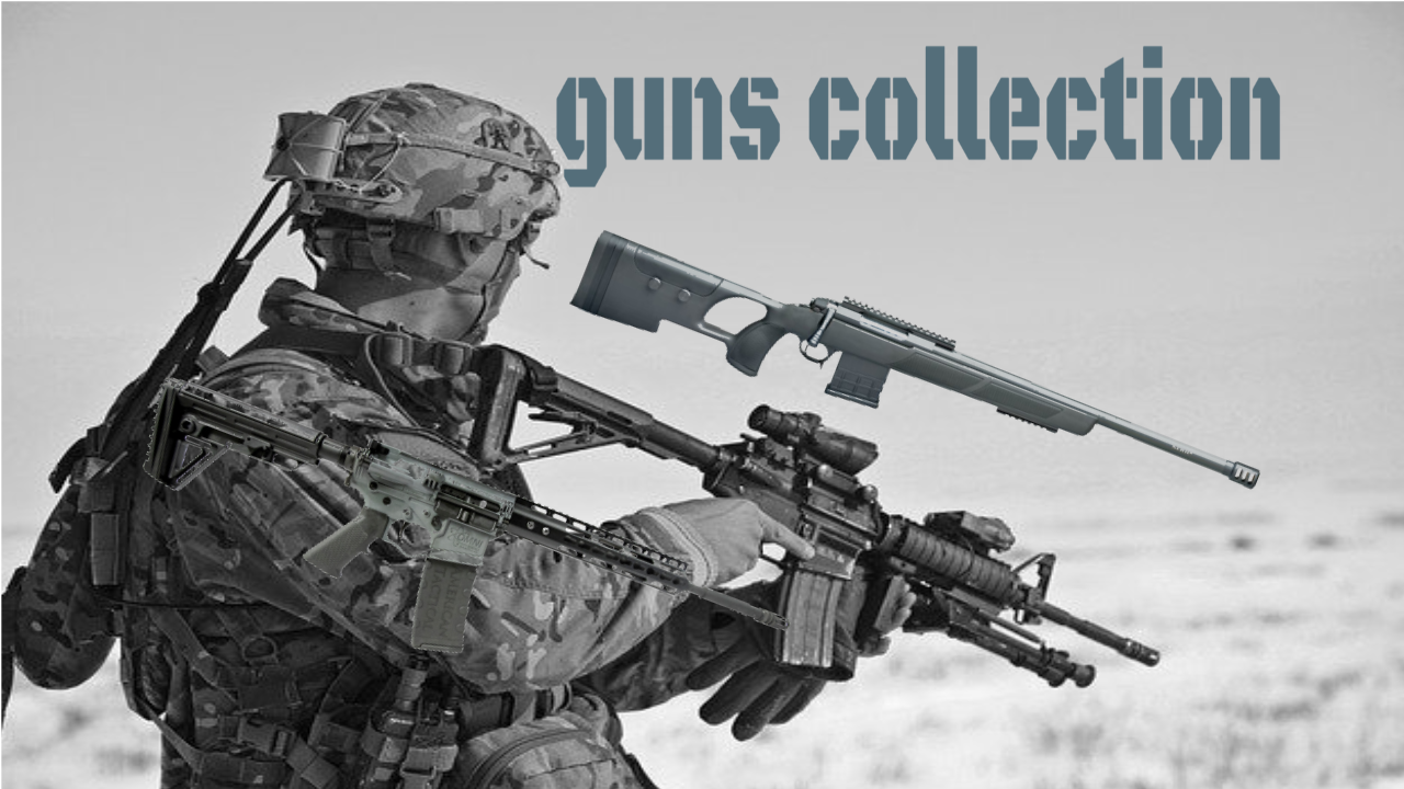 guns collection