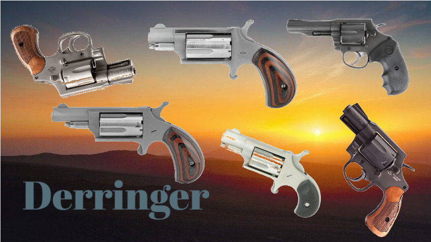 Derringer