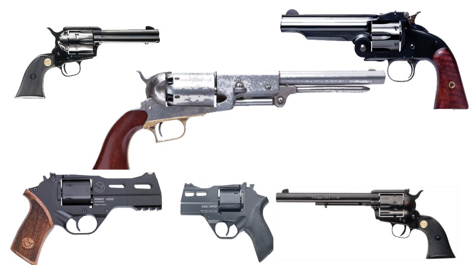 revolver variety