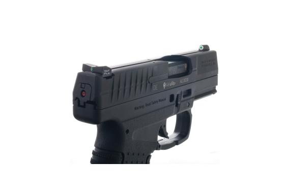 Xs Dxt Big Dot Walther Pps-pps M2