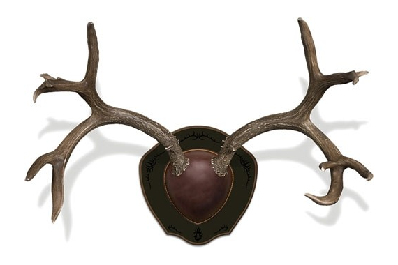 Mountain Mike's Deer Antler - Rack Plaque W-shed Spreader