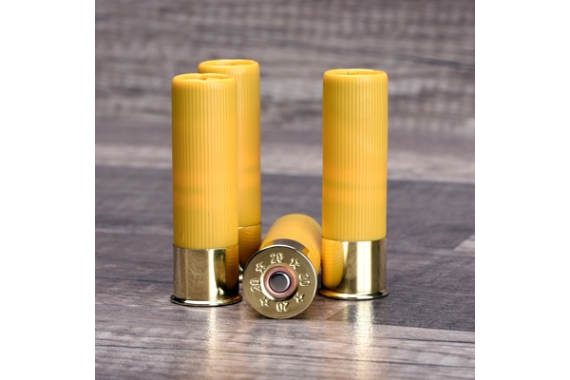 Cleanshot Shoot Through Gun - Bore Cleaner 20 Ga. 4-pack!