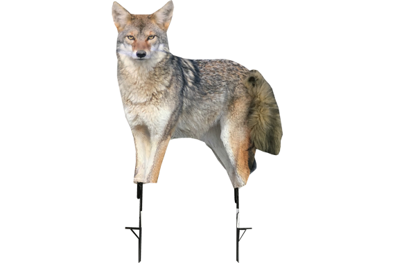 Montana Decoy Coyote Song Dog -