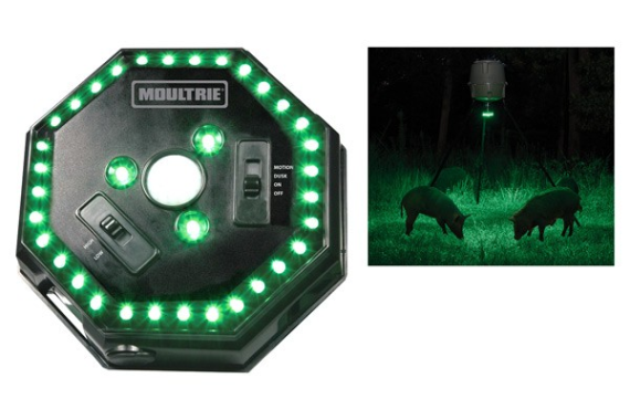 Moultrie Feeder Hog Light 30' - Radius Green Led Motion Activa