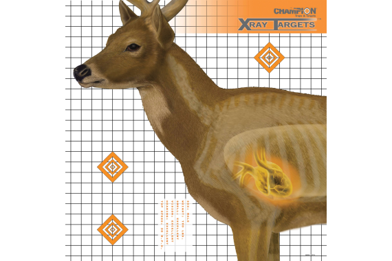 Champion Deer X-ray Target 6-pk