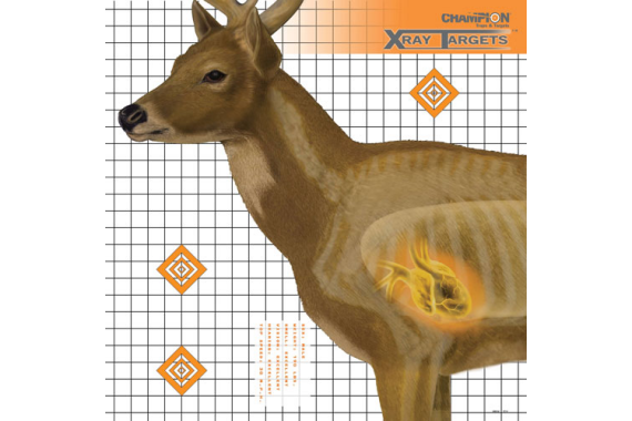 Champion X-ray Target Deer - 25
