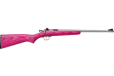 Crickett Rifle G2 .22lr - S-s Pink-black Laminate