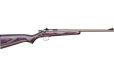 Crickett Rifle G2 .22lr - S-s Purple Laminate