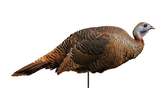 Montana Decoy Turkey Spring - Fling Hen