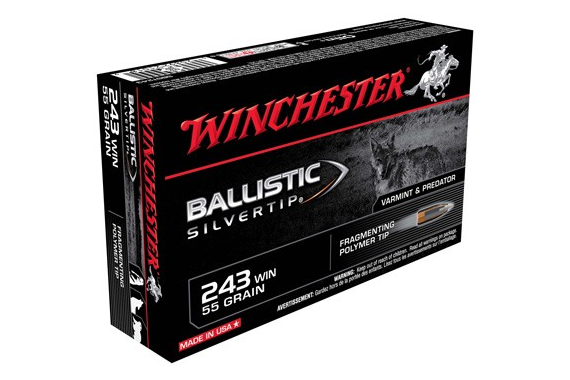 Winchester Supreme 243 55gr - 20rd 10bx-cs Ball Silver-tip