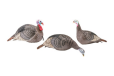 Hs Strut Turkey Decoy Flock - Strut-lite Hen-jake-feeder Hen