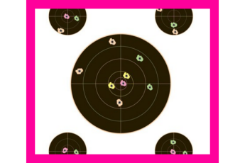 CHAMPION VISICOLOR TARGET