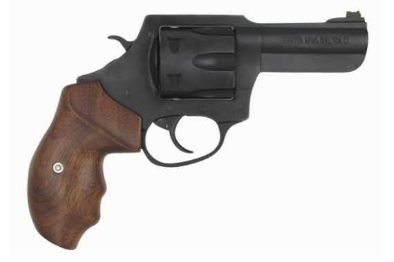 Charter Arms The Professional 357mag 4.2