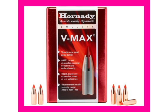 HORNADY BULLETS 5.45 CAL .2215