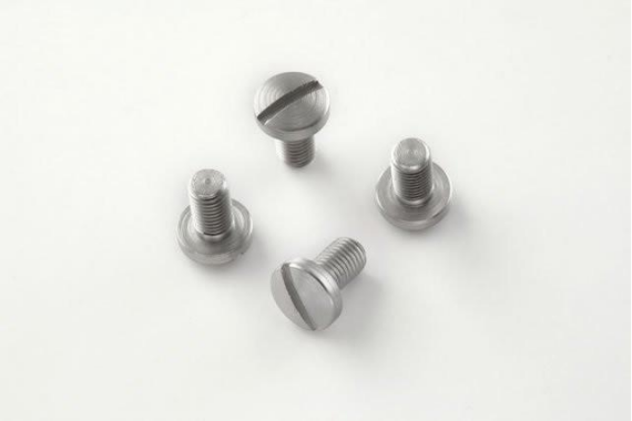 Hogue Govt. and Officers Model Screws (4) Slotted - Stainless Finish