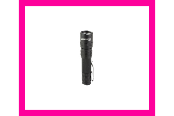 NIGHTSTICK USB RECHARGEABLE 320L