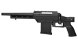 Savage Arms 110 Pcs Pistol 350leg 10.5