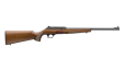 Winchester Wildcat Sporter 22lr 18