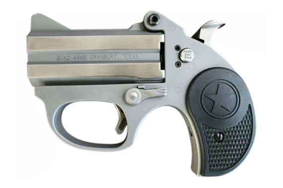 Bond Arms Stinger 380acp Ss 3