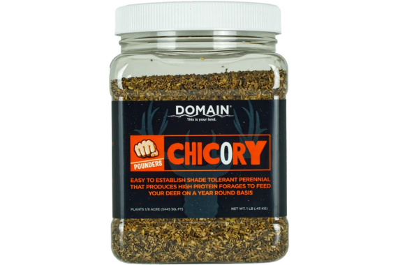 Domain Chicory Pounder Seed 1-8 Acre