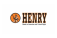 Henry Repeating Arms Golden Boy Slvr Fathers 22lr