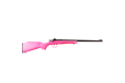 Keystone Sporting Arms Crickett 22lr Bl-pink
