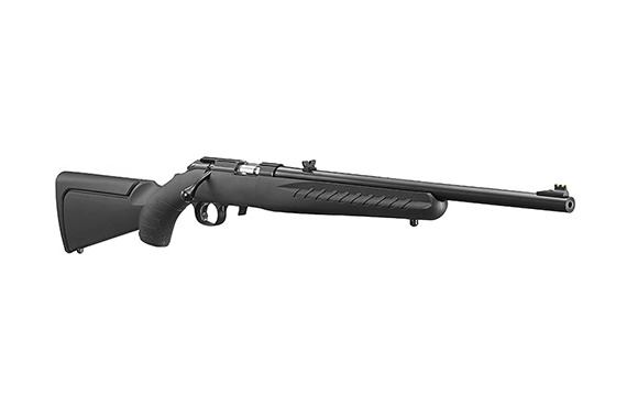 Ruger American Cmpct 17hmr Bl-sy 18