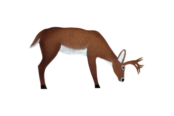 Oncore Archery Target Deer W- Antlers