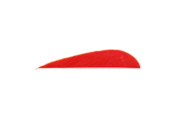 Trueflight Parabolic Feathers Red 3 In. Lw 100 Pk.
